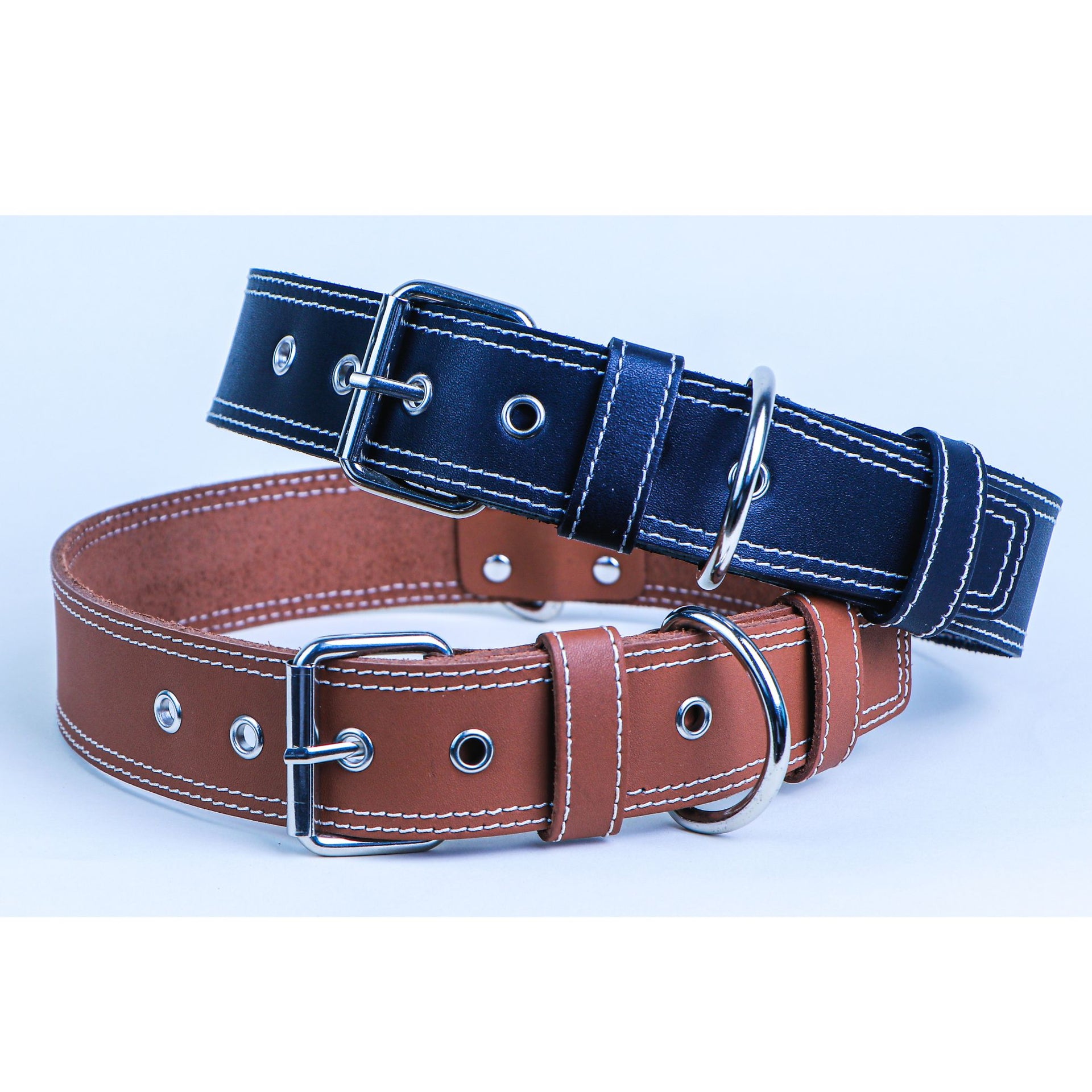 Dog Collar