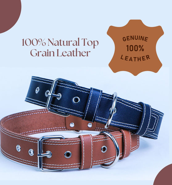 Leather Dog Collar (TAN)
